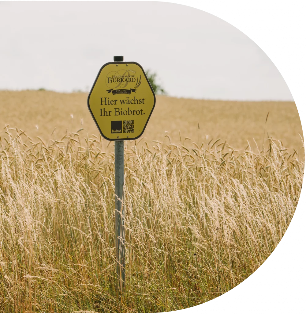 Ein Infoschild am Rand eines Feld. Hier wächst ihr Biobrot von der Bäckerei Burkard.